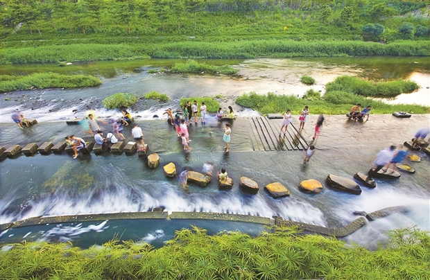 龙岗治水提质出实招下实功见实效